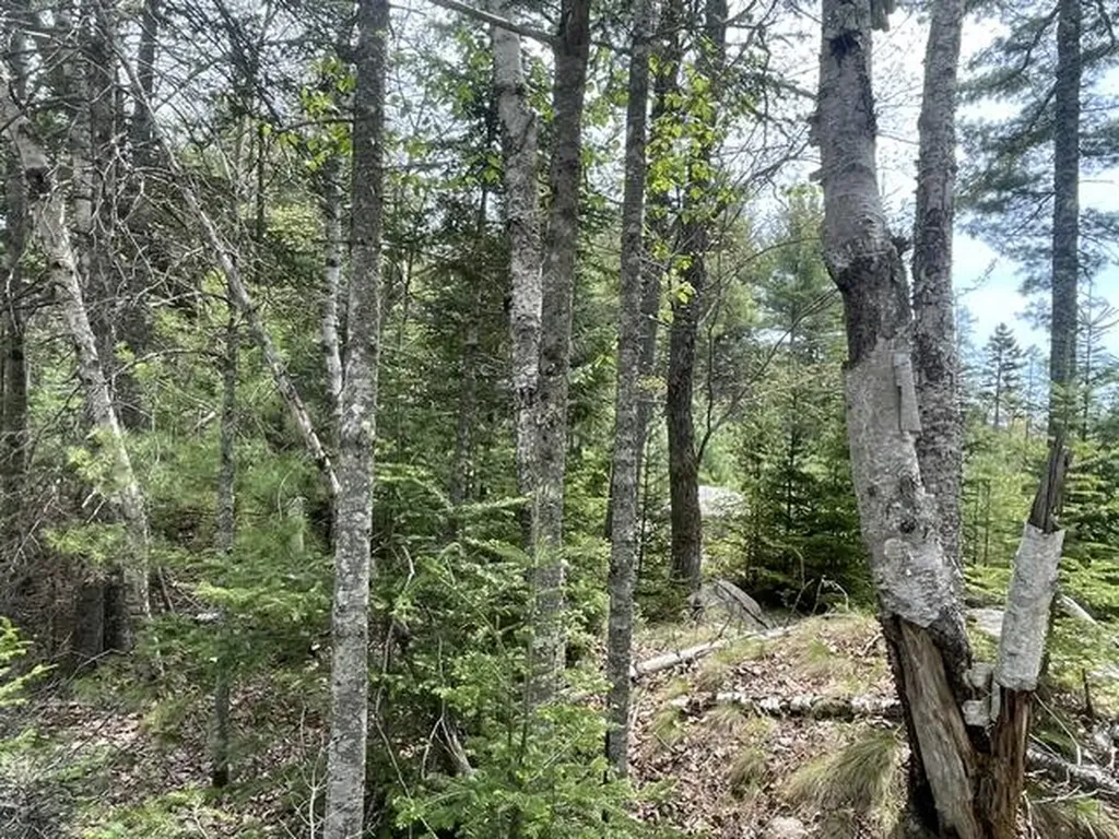 00 Reach Road Deer Isle ME 04627