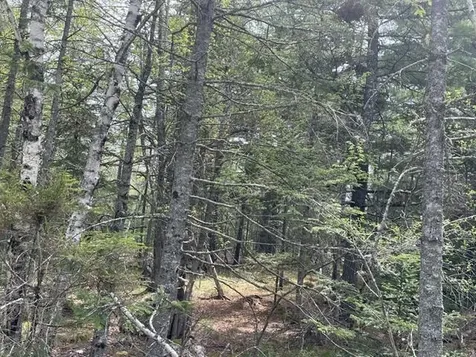 00 Reach Road Deer Isle ME 04627