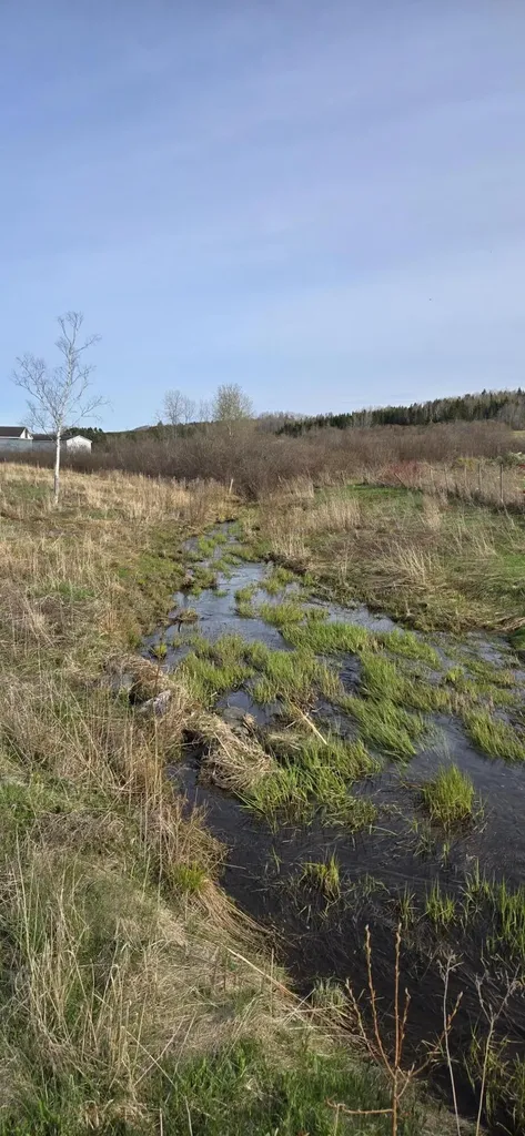 MAP41 Lot8 Grand Isle ME 04746