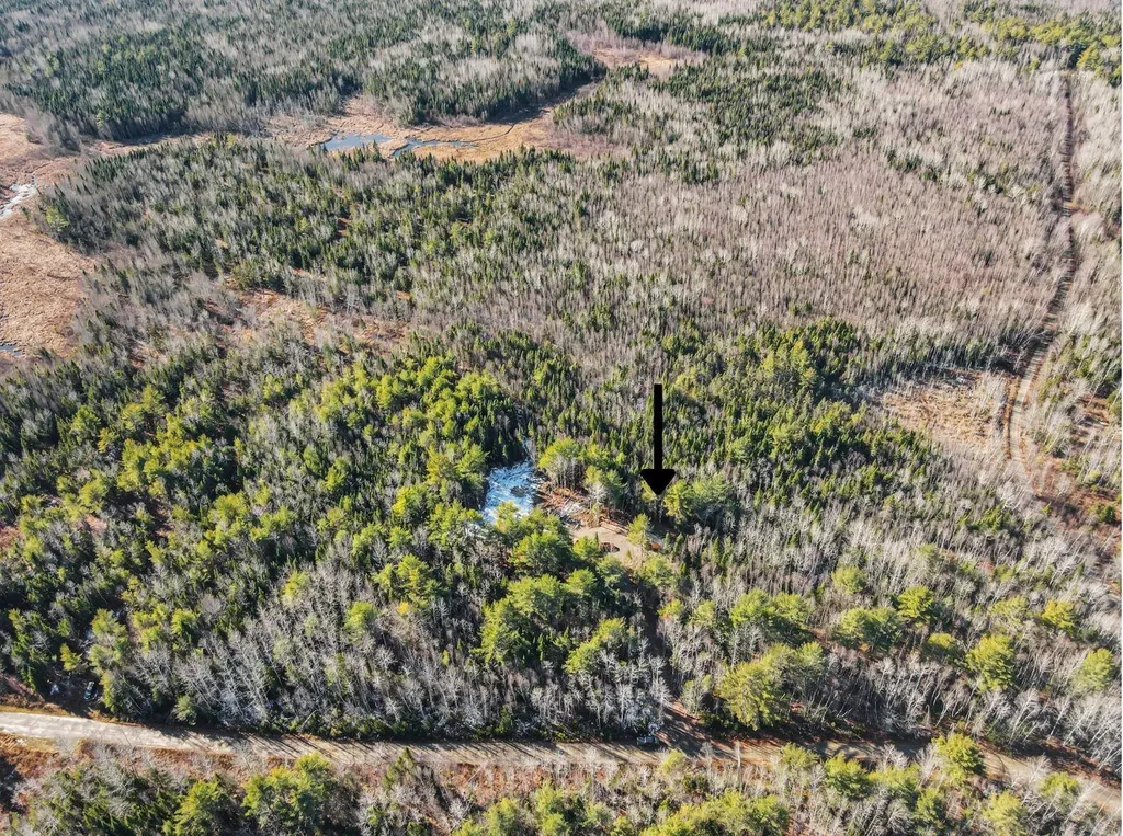 17 Otter Trail Greenbush ME 04418