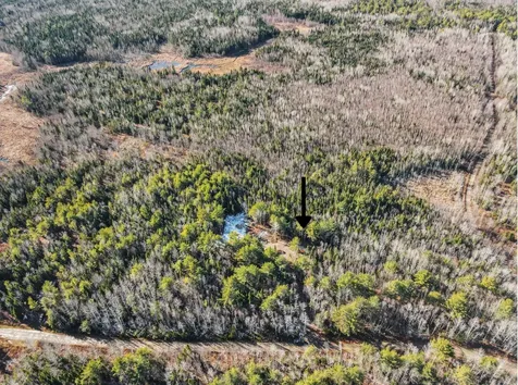 17 Otter Trail Greenbush ME 04418
