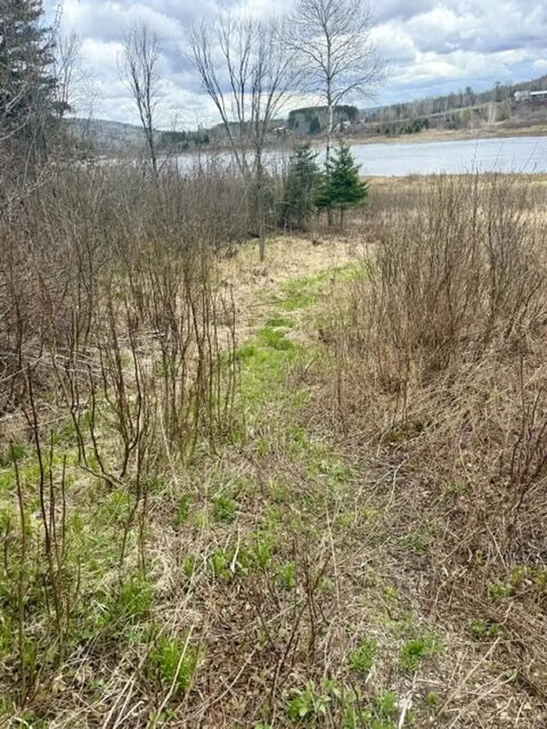 234 Walker Brook Road Allagash ME 04774