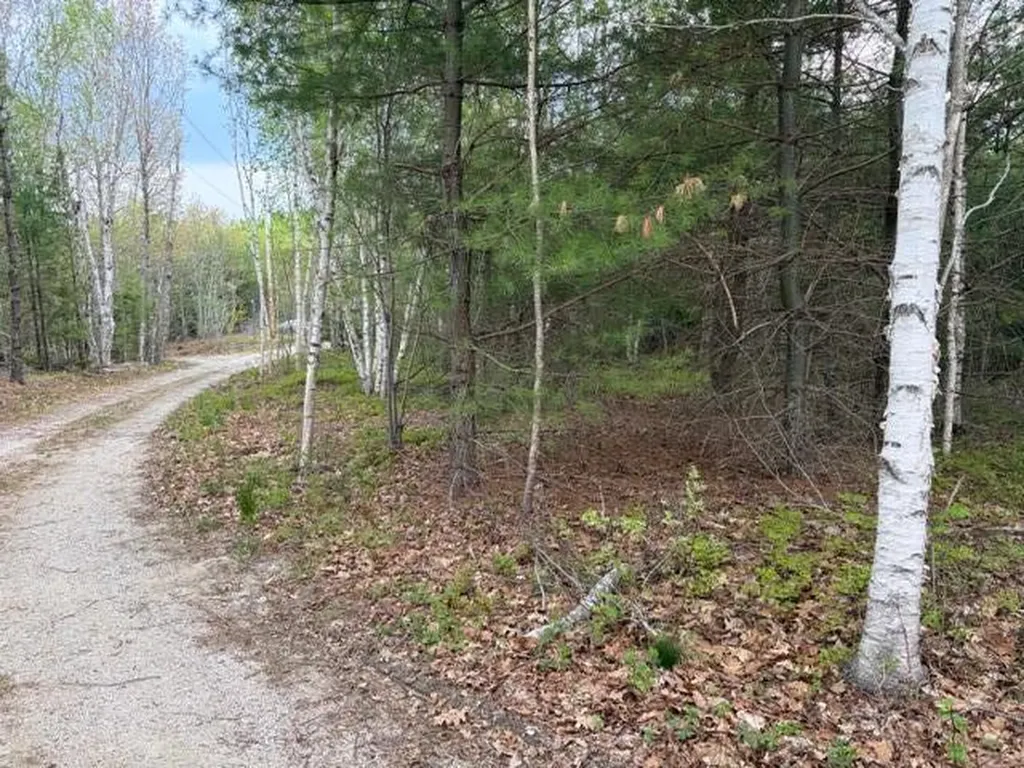 Lot #8 Thayer Road Waltham ME 04605