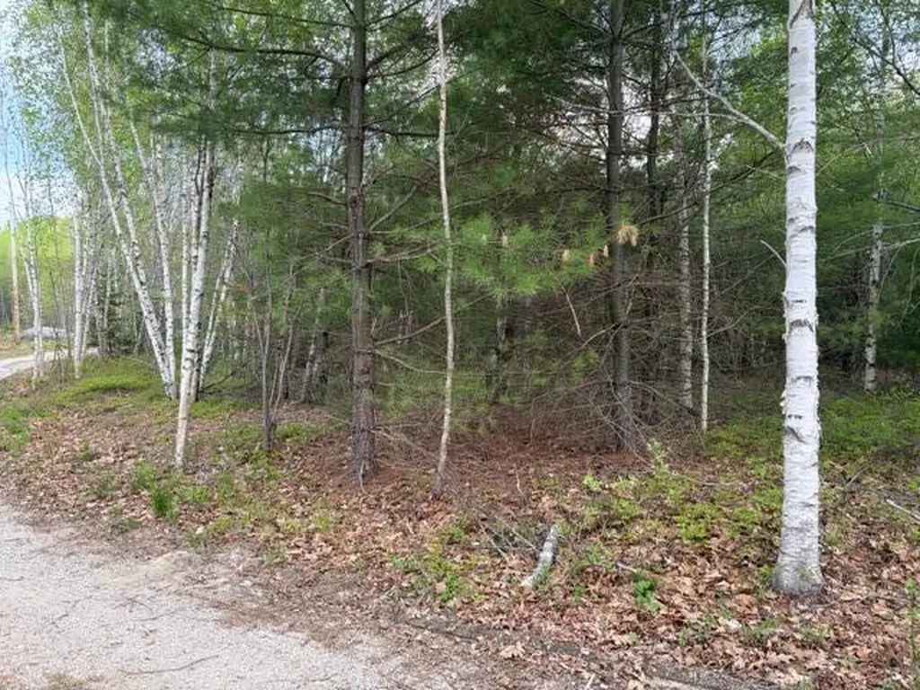 Lot #8 Thayer Road Waltham ME 04605