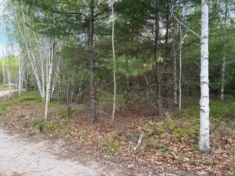 Lot #8 Thayer Road Waltham ME 04605