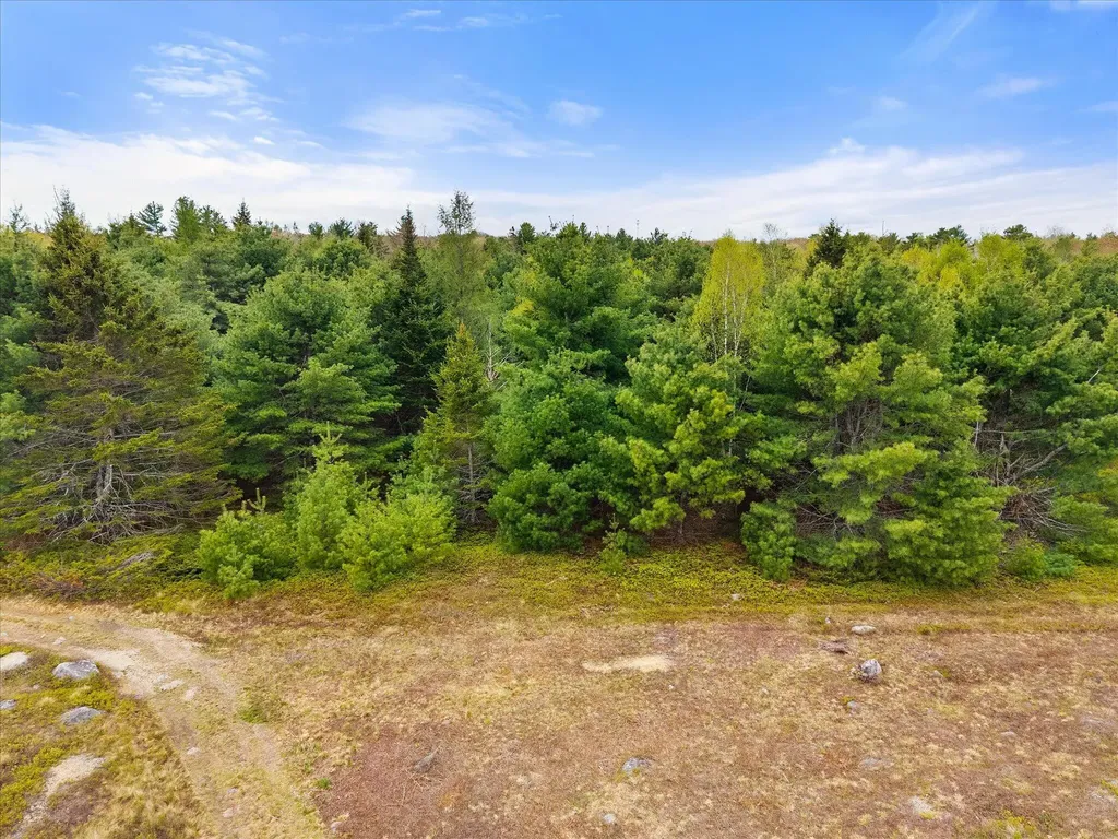 Map 6 Lot 31c Cedar Swamp Road Orland ME 04472