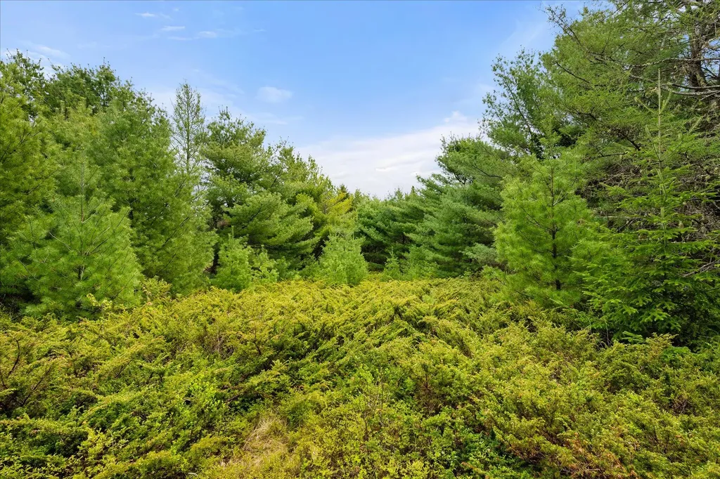 Map 6 Lot 31c Cedar Swamp Road Orland ME 04472