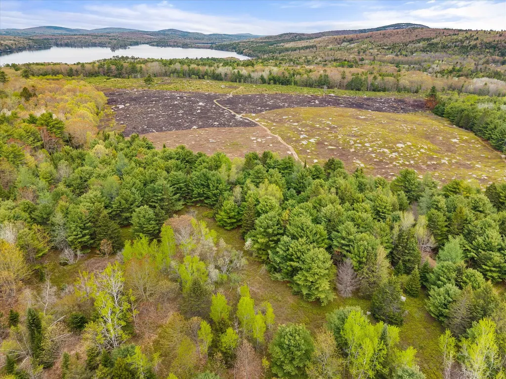 Map 6 Lot 31c Cedar Swamp Road Orland ME 04472