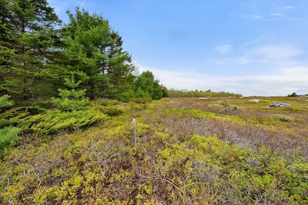 Map 6 Lot 31c Cedar Swamp Road Orland ME 04472