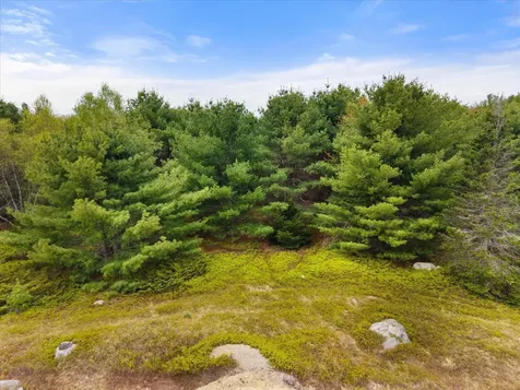 Map 6 Lot 31c Cedar Swamp Road Orland ME 04472