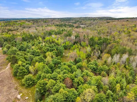 Map 6 Lot 31c Cedar Swamp Road Orland ME 04472