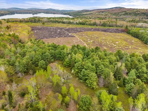 Map 6 Lot 31c Cedar Swamp Road Orland ME 04472