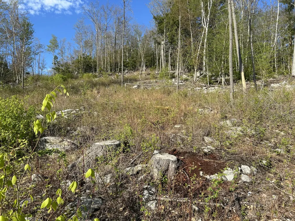 MAP7LOT9 Wm Livermore Road Fayette ME 04349