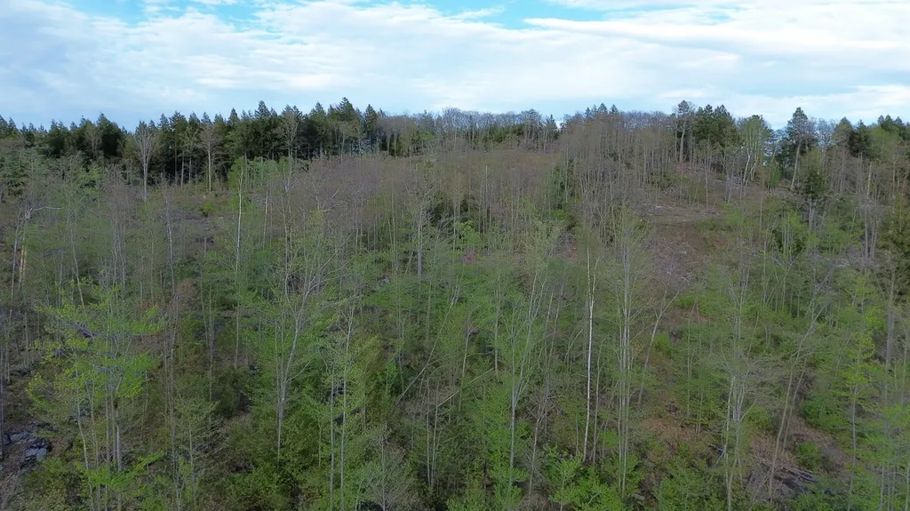 MAP7LOT9 Wm Livermore Road Fayette ME 04349