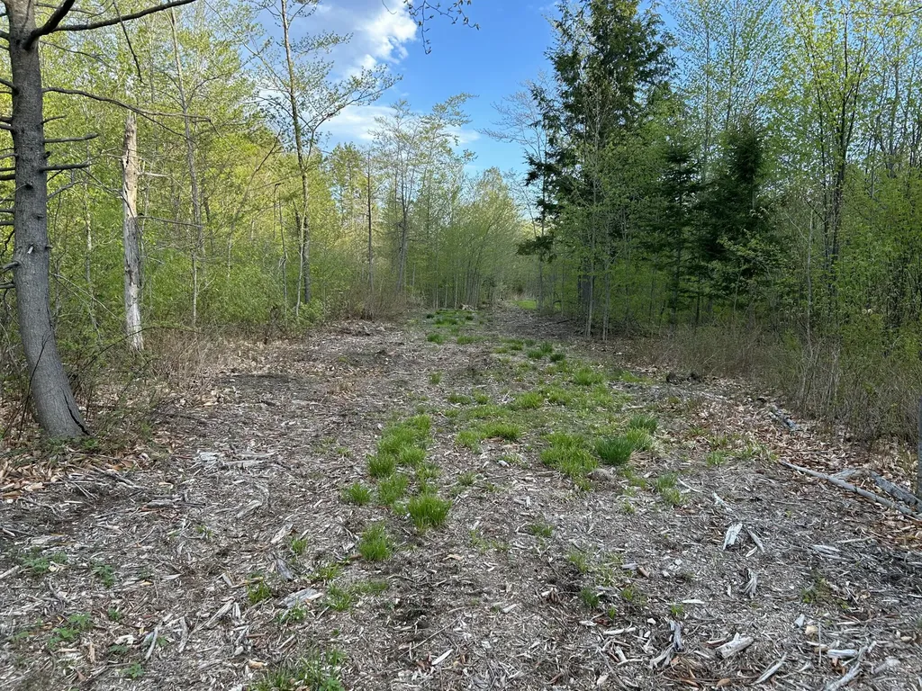 MAP7LOT9 Wm Livermore Road Fayette ME 04349