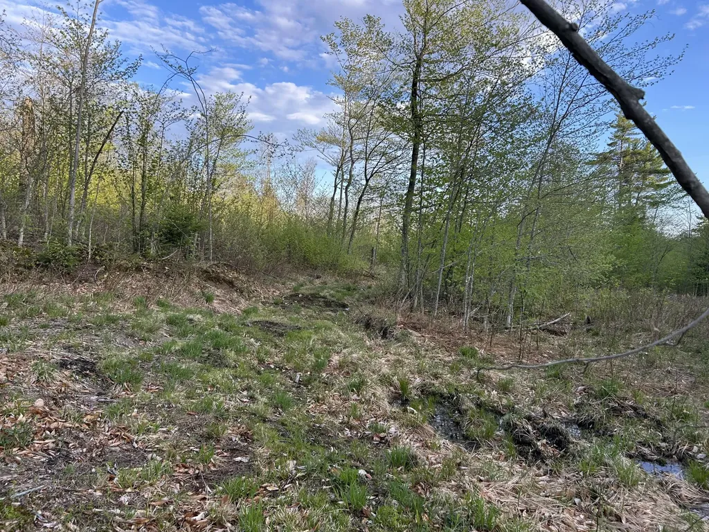 MAP7LOT9 Wm Livermore Road Fayette ME 04349