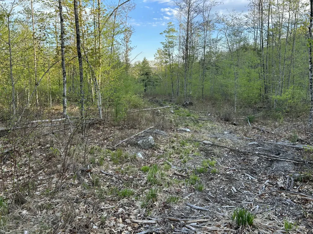 MAP7LOT9 Wm Livermore Road Fayette ME 04349
