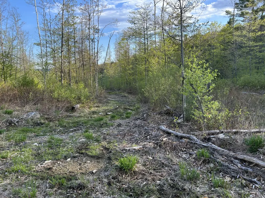 MAP7LOT9 Wm Livermore Road Fayette ME 04349