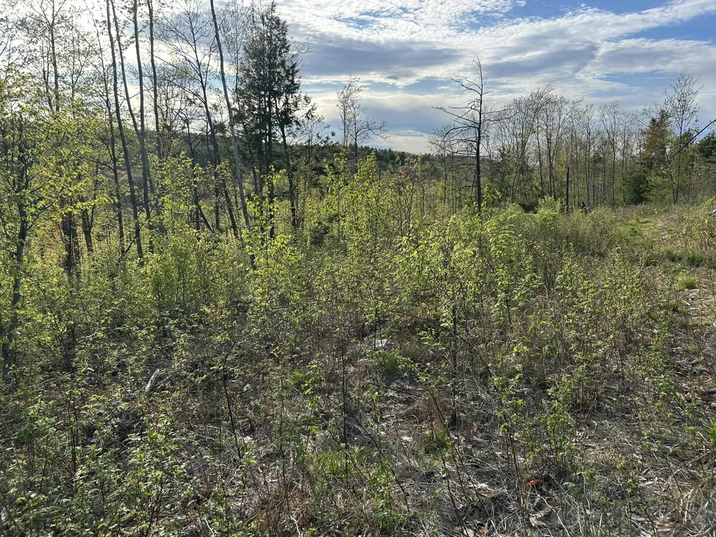 MAP7LOT9 Wm Livermore Road Fayette ME 04349