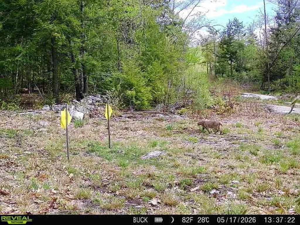 MAP7LOT9 Wm Livermore Road Fayette ME 04349