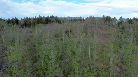 MAP7LOT9 Wm Livermore Road Fayette ME 04349