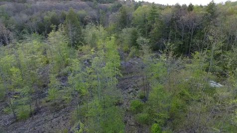 MAP7LOT9 Wm Livermore Road Fayette ME 04349