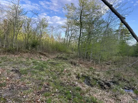 MAP7LOT9 Wm Livermore Road Fayette ME 04349