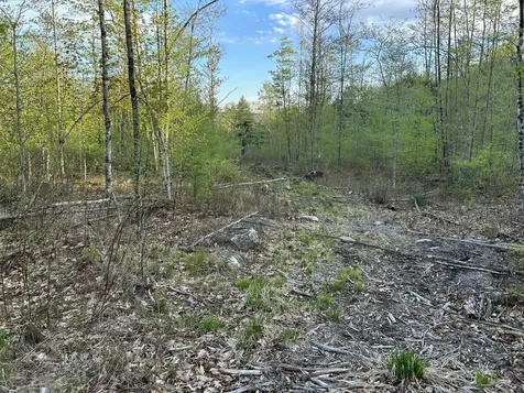 MAP7LOT9 Wm Livermore Road Fayette ME 04349