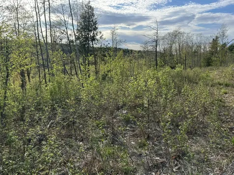 MAP7LOT9 Wm Livermore Road Fayette ME 04349