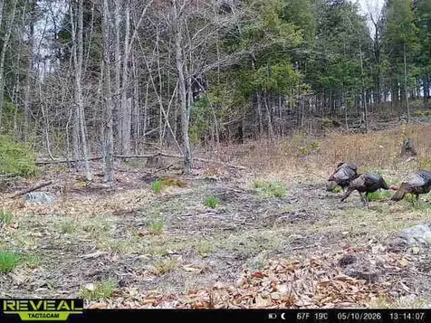 Map7Lot9 Wm Livermore Road Fayette ME 04349