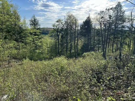MAP7LOT9 Wm Livermore Road Fayette ME 04349