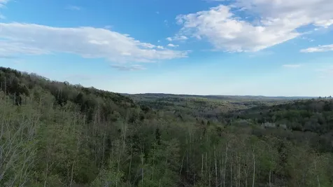 MAP7LOT9 Wm Livermore Road Fayette ME 04349