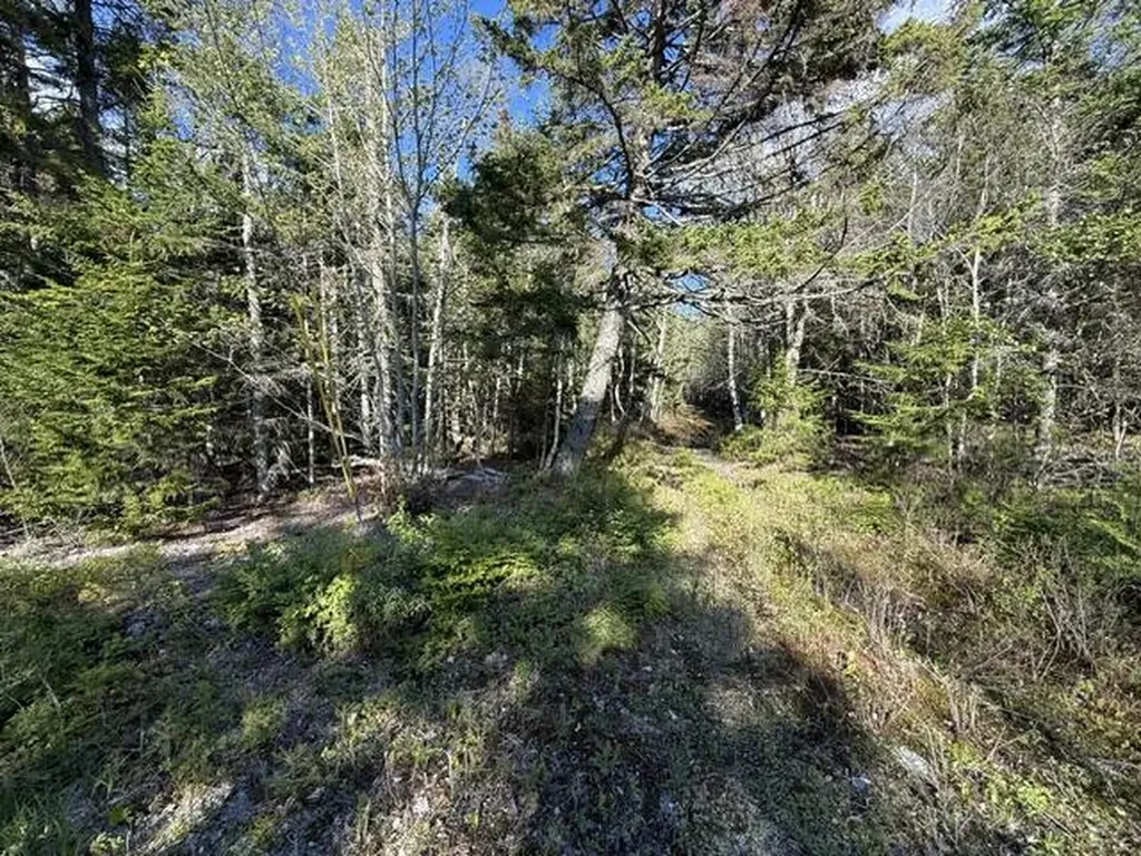 Lot 13 Pidgeon Point Road Whiting ME 04691