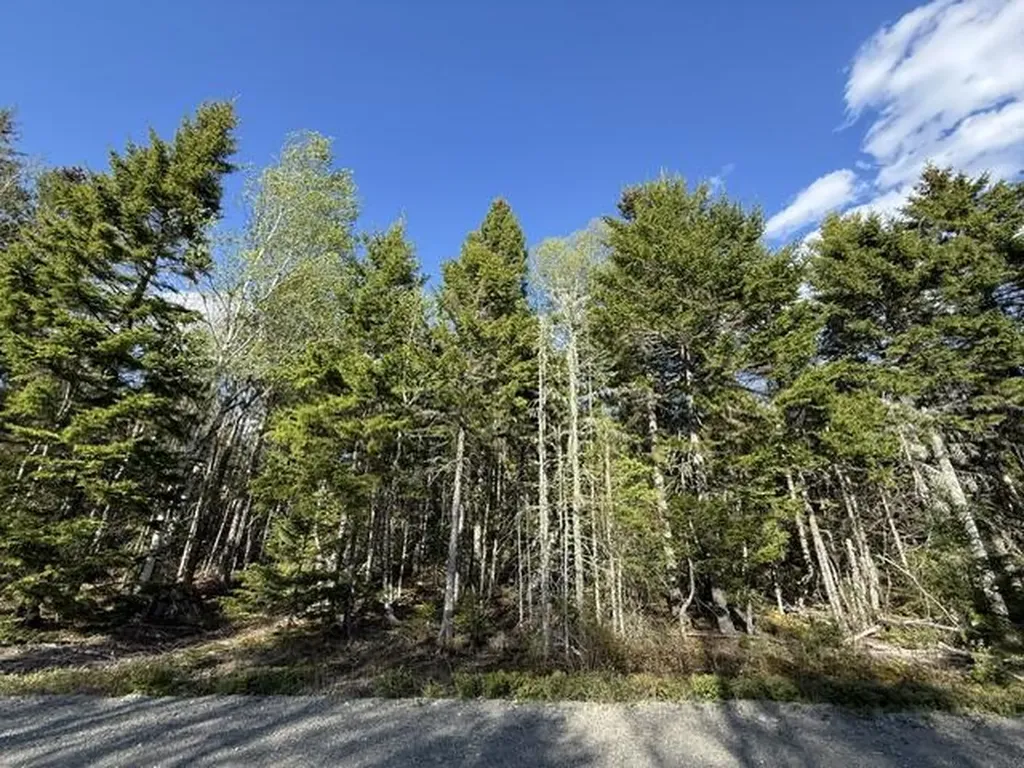 Lot 13 Pidgeon Point Road Whiting ME 04691