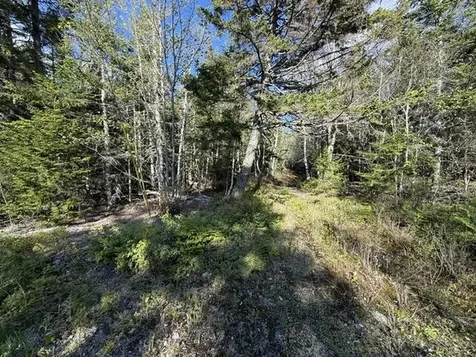 Lot 13 Pidgeon Point Road Whiting ME 04691