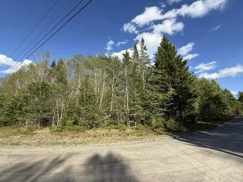 Lot 13 Pidgeon Point Road Whiting ME 04691