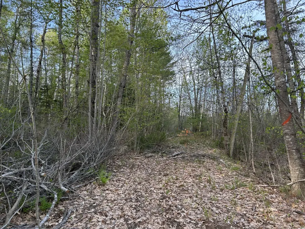 M46,L19,23 River Road Bucksport ME 04416