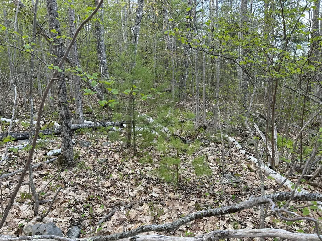M46,L19,23 River Road Bucksport ME 04416