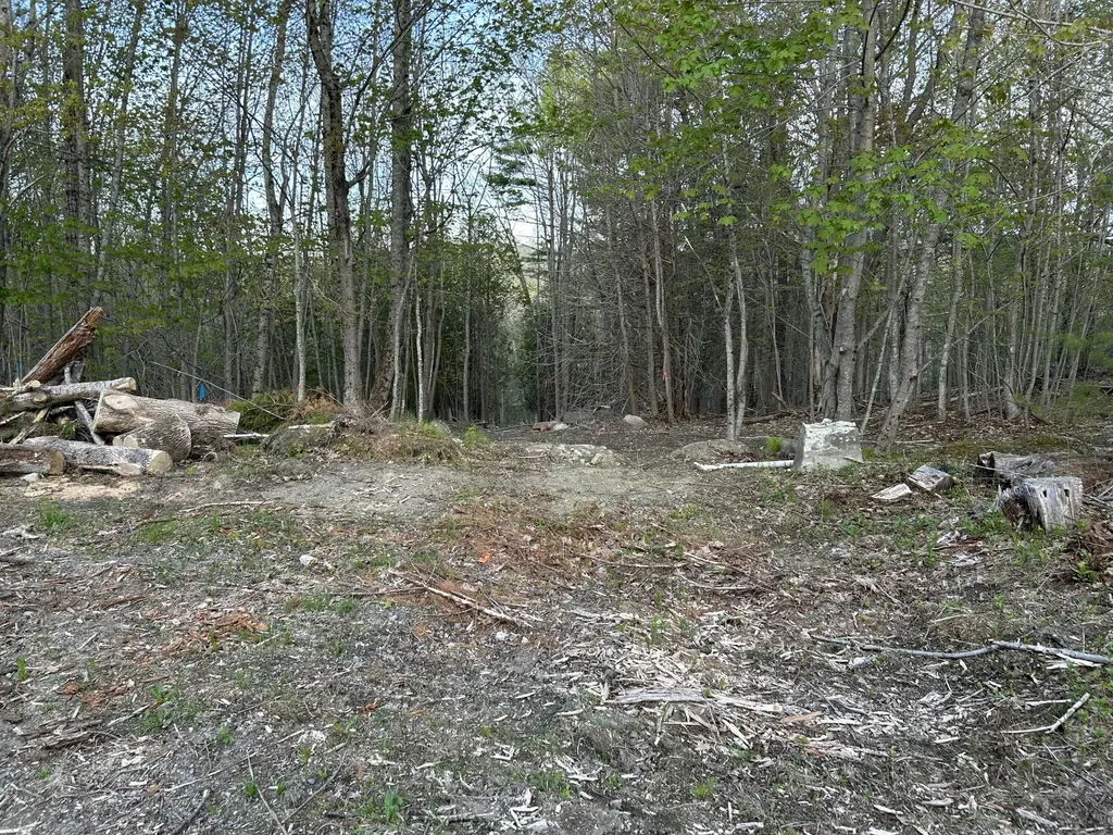 M46,L19,23 River Road Bucksport ME 04416