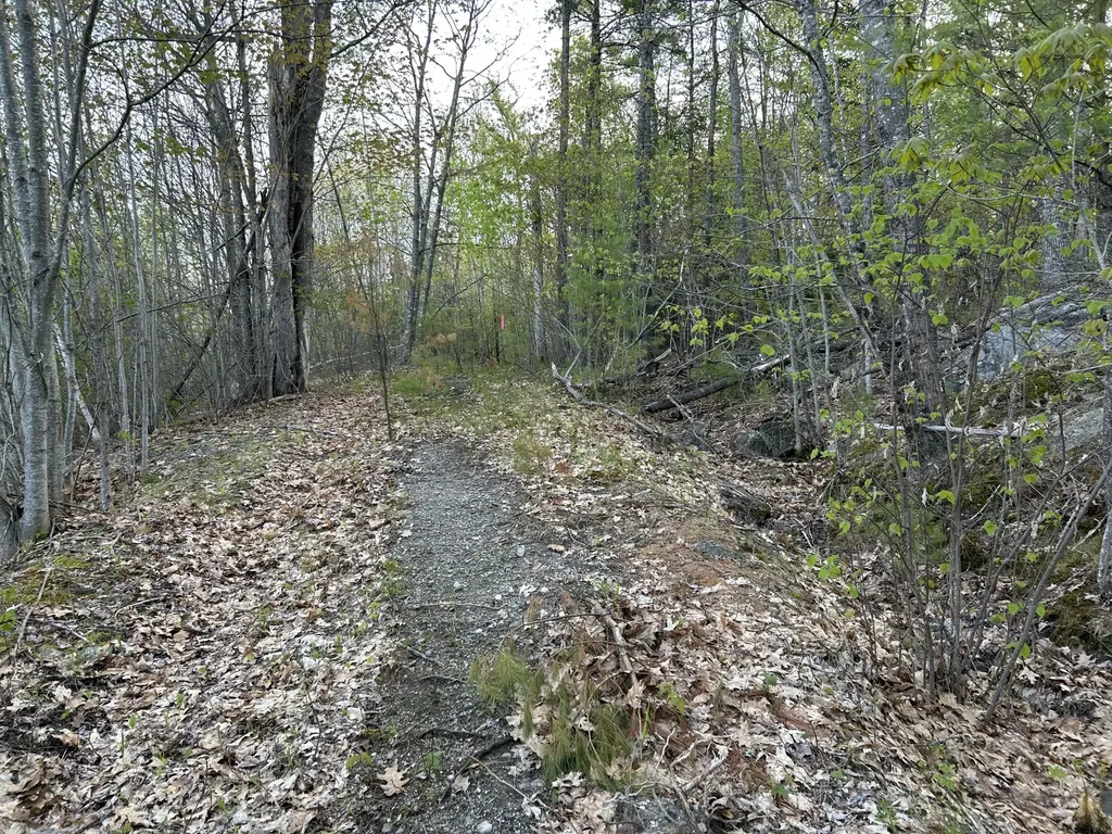 M46,L19,23 River Road Bucksport ME 04416