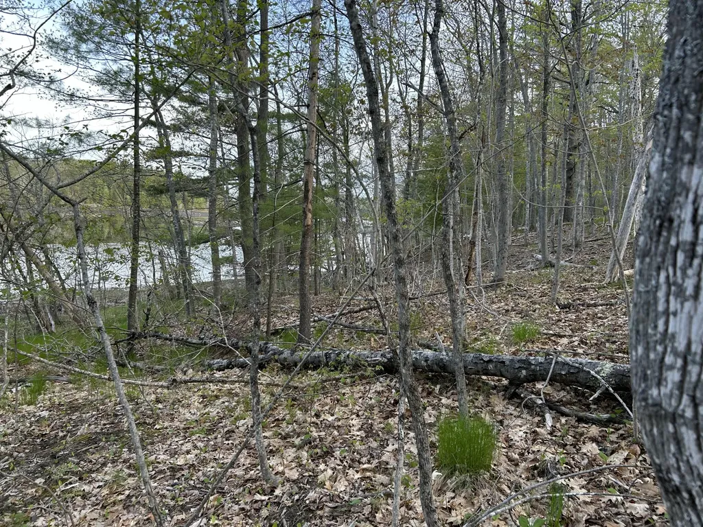M46,L19,23 River Road Bucksport ME 04416