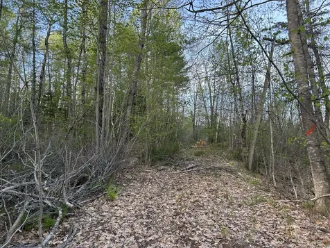 M46,L19,23 River Road Bucksport ME 04416