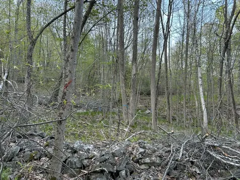 M46,L19,23 River Road Bucksport ME 04416
