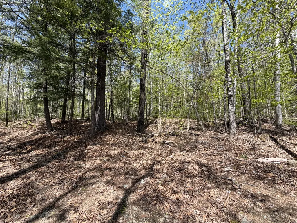 220 Bearce Road Sangerville ME 04479
