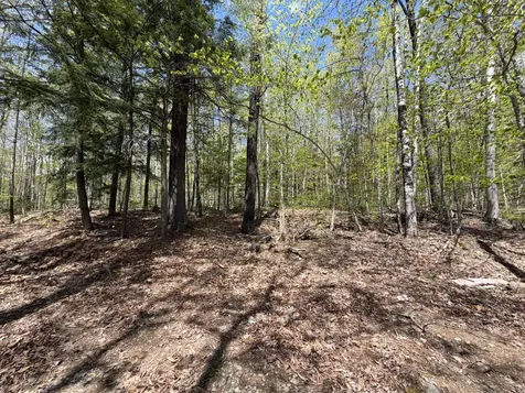 220 Bearce Road Sangerville ME 04479