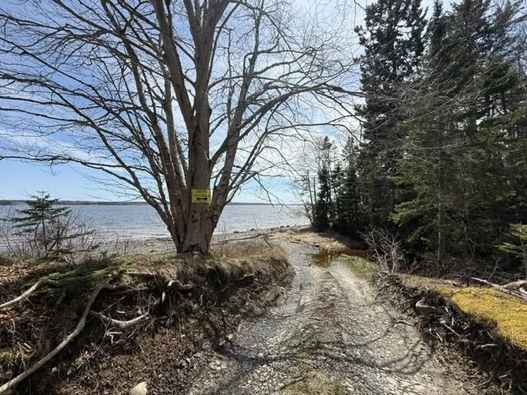 Lot 6 Holmes Bay Farms Road Whiting ME 04691