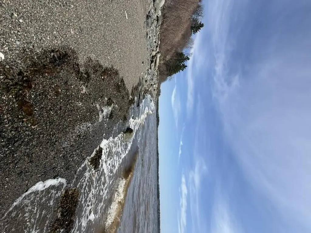 Lot 6 Holmes Bay Farms Road Whiting ME 04691