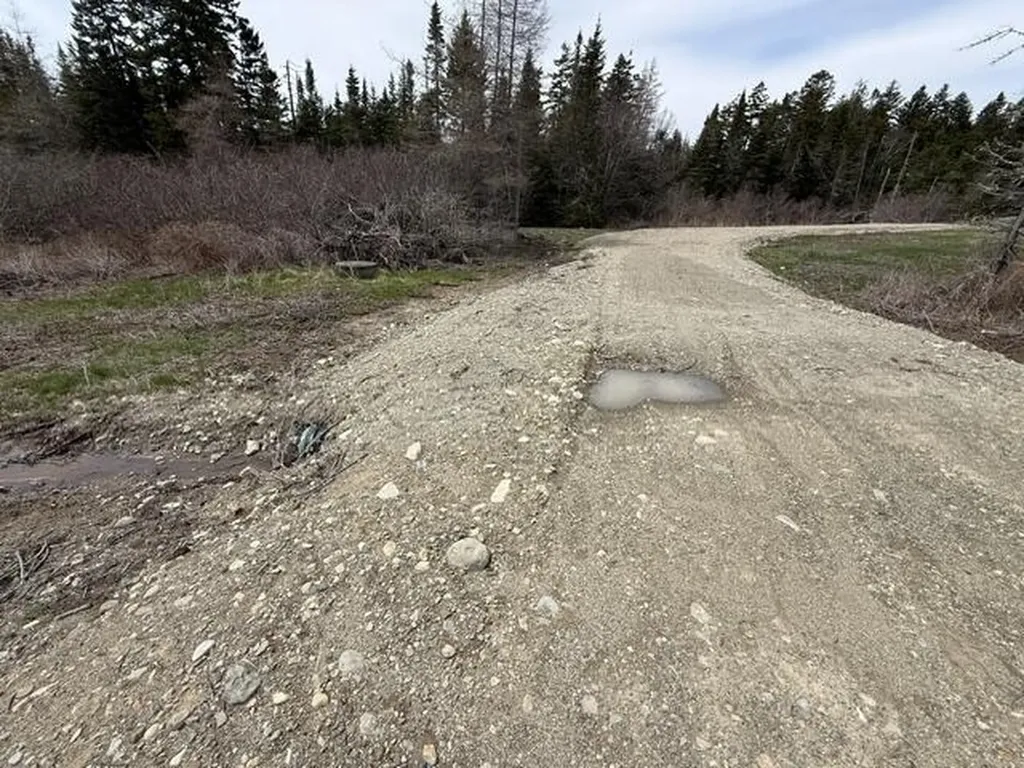 Lot 6 Holmes Bay Farms Road Whiting ME 04691