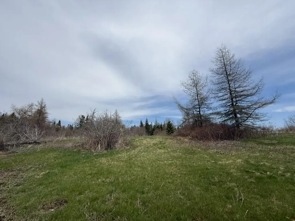 Lot 6 Holmes Bay Farms Road Whiting ME 04691