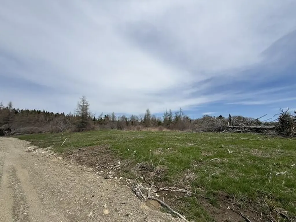 Lot 6 Holmes Bay Farms Road Whiting ME 04691